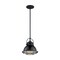 Nuvo Fixture, Pendant, 1-Light, Incandescent, 60W, 120V, A19, Medium Base 60/7063 - alternate 3